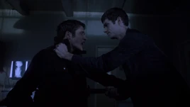 Letharia vulpina scott stiles