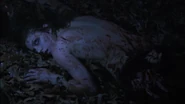 1x01 Laura Hale 01.png (661 KB)