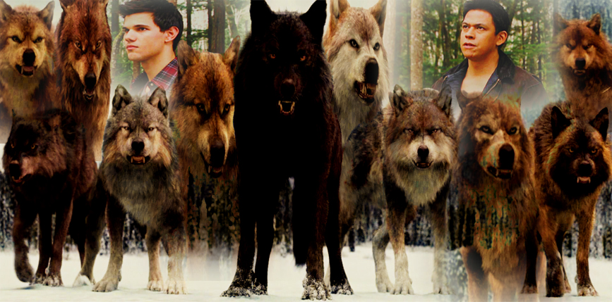 Quileute Wolf Spell | Teen Wolf Universe Wikia | Fandom