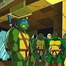 Teenage Mutant Ninja Turtles 2003 Series Wiki Fandom Teenage mutant ninja turtles last edited by xoloilot on 12/06/20 05:12am. teenage mutant ninja turtles 2003