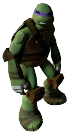 Donatello - Teenage Mutant Ninja Turtles – Snapping Turtle Gallery