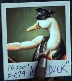 Ace Duck