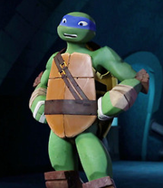 Leonardo turtle - Vertrauen Sie unserem Testsieger