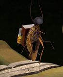 TMNT 12 Spyroach before