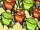 Cluster