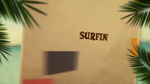 Surf's Up (490)