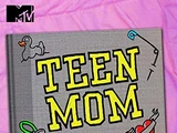 Season 2 (Teen Mom)