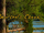 Dawson's Creek