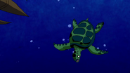 Sea Turtle