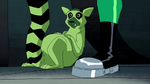 Beast Boy as Ring-tailed Lemur