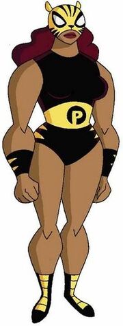 Pantha-teen-titans-10393977-190-500