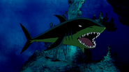 Beast Boy as Shark