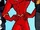 Flash