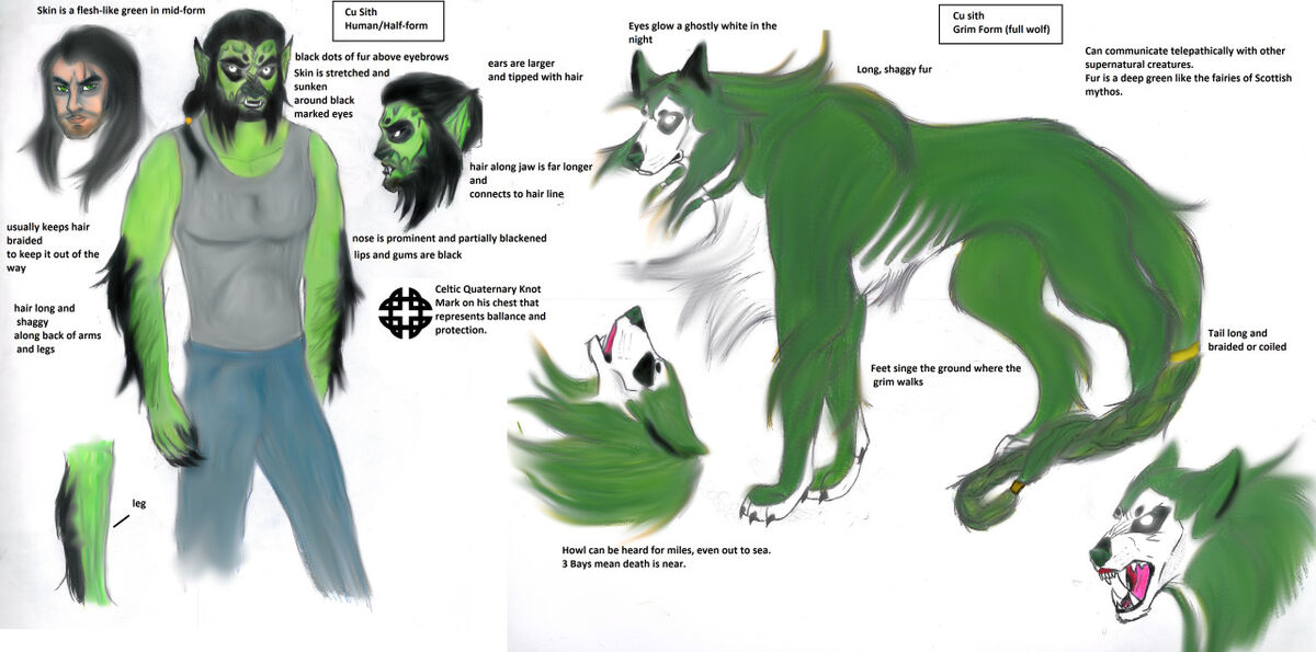 Cu sith ('coo shee') | TeenWolf Next Generation Wikia | Fandom Cu sith ('coo shee') | TeenWolf Next Generation Wikia | Fandom