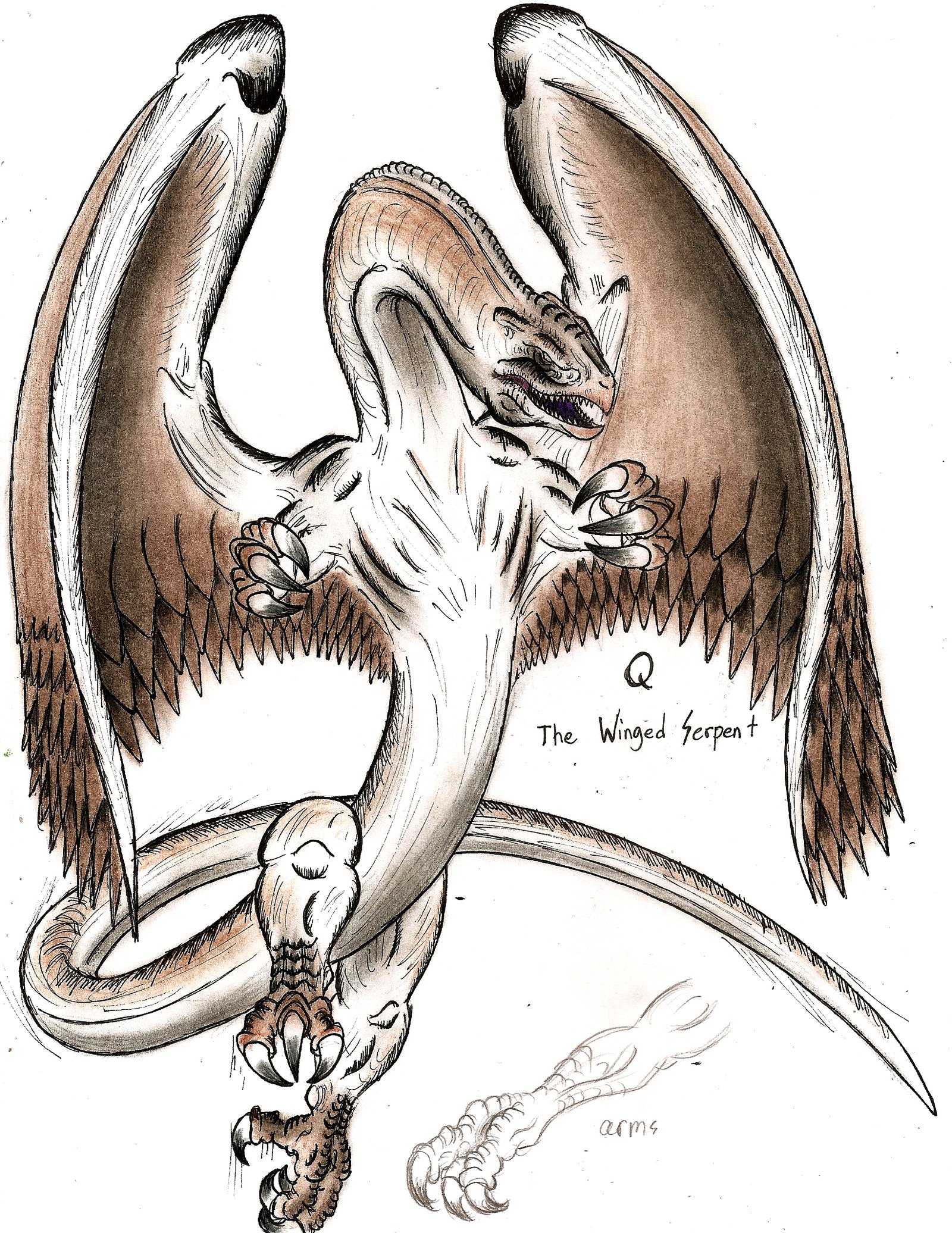 Q, The Winged Serpent | TeenWolf Next Generation Wikia | Fandom