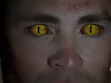 Jackson Whittemore