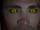 Jackson Whittemore