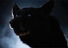 E859f910029f3f3a09d0a0daa88280e10da8a647 hq