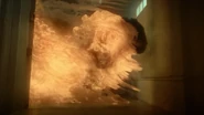 Flames-Teen-Wolf-Season-6-Episode-11-Said-the-Spider-to-the-Fly.png (455 KB)