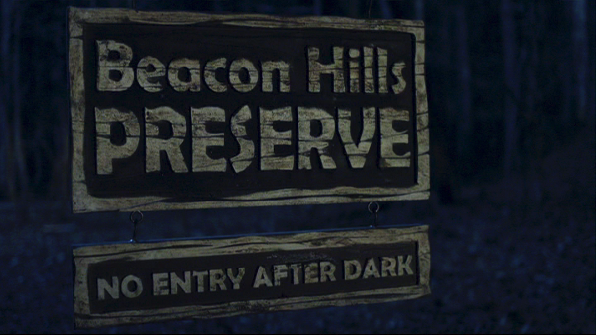 Opening Ceremony of the Beacon Hills Forever Teen Wolf's