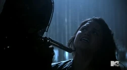 Imagen88.jpg (49 kB)