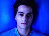 Stiles#4