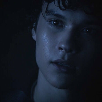 teen wolf wiki fandom