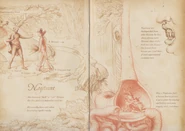 NogistuneBestiary.png (2,56 Mio) Page du Bestiaire