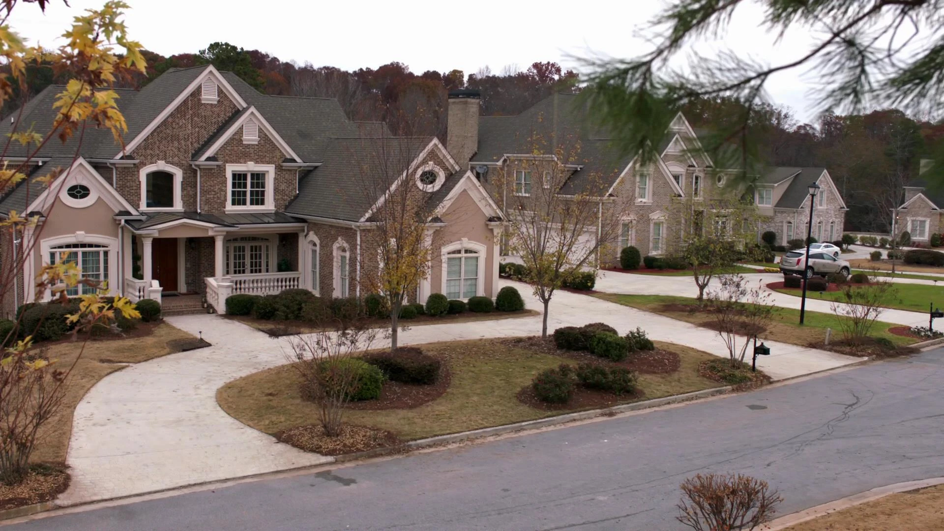 дом стайлза стилински. волчонок дом стайлза. домашний волчонок. волк с волчатами. дом волчонка.