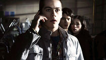 8 stiles