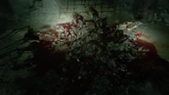 Pile-dead-rats-Teen-Wolf-Season-6-Episode-11-Said-the-Spider-to-the-Fly.png (685 KB)