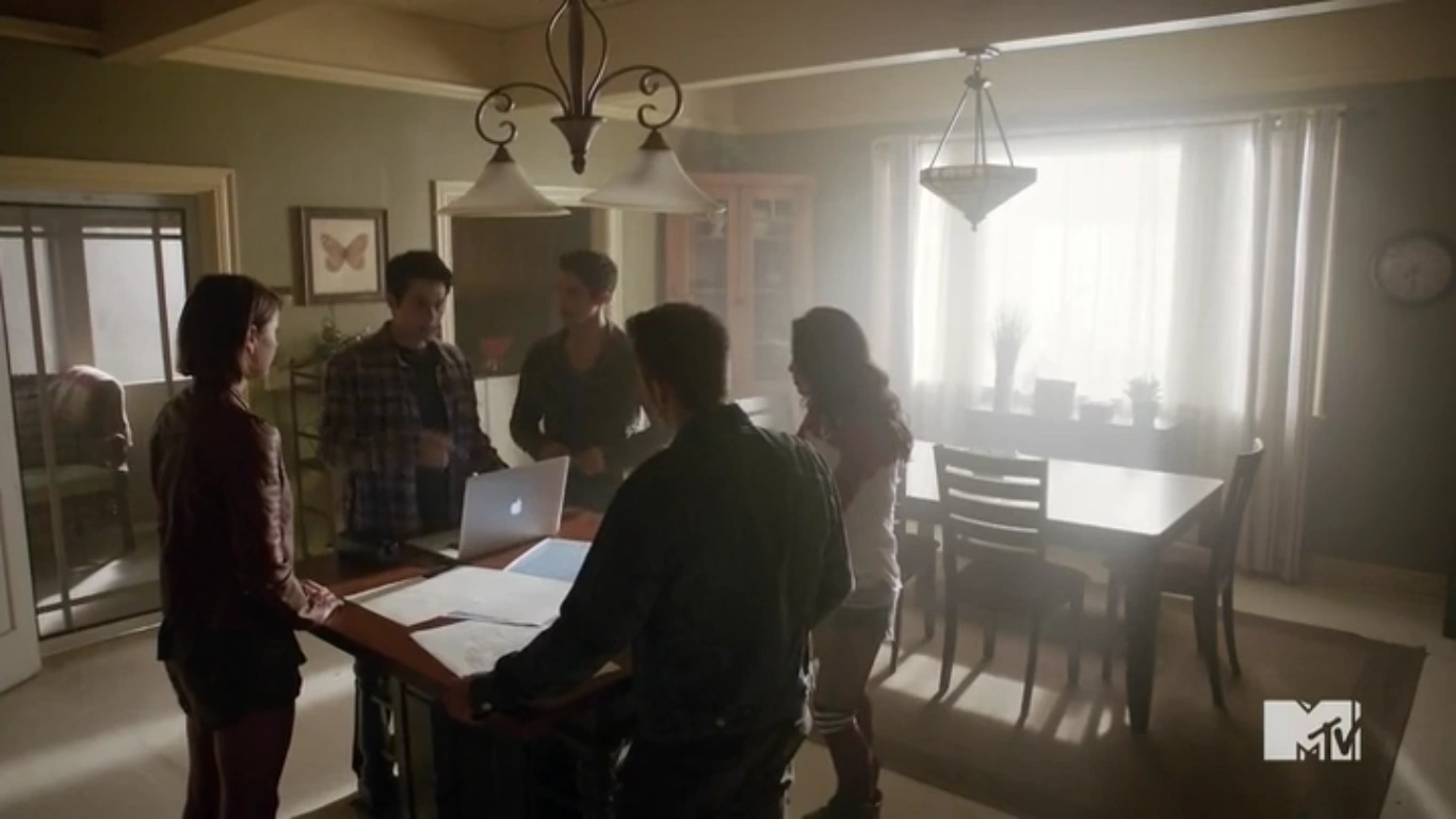 чехословацкий влчак. домашние волчата. дом волчонка. бейкон хиллс город волчонок. волчонок ночь бейкон хиллс.