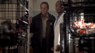 Teen Wolf Season 3 Episode 1 Tattoo Linden Ashby Seth Gilliam Sheriff Stilinski Dr. Deaton room full of dead cats