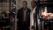 Teen Wolf Season 3 Episode 1 Tattoo Linden Ashby Seth Gilliam Sheriff Stilinski Dr. Deaton room full of dead cats.png (903 kio)