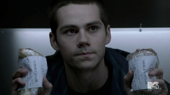 Stiles (14)