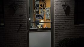 BeaconHillsAnimalClinic