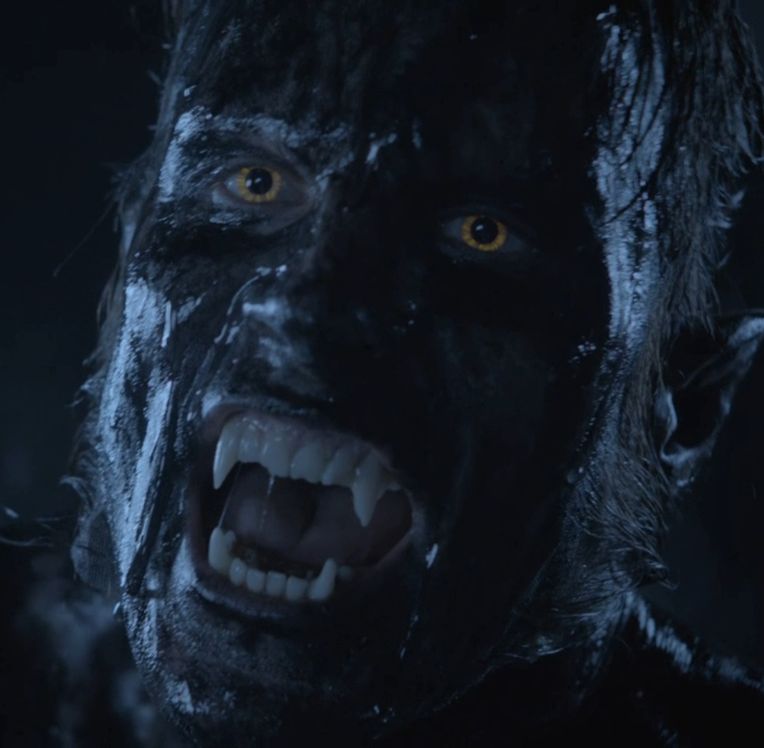 Scott Mccall Loup Garou Alpha Belasko | Wiki Teen Wolf | Fandom