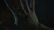 Cody-Christian-Theo-spider-bite-Teen-Wolf-Season-6-Episode-12-Raw-Talent.png (289 kio)