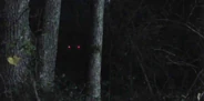 Alpha outside Derek's.png (157 KB)