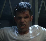 Ethan Steiner (Omega)