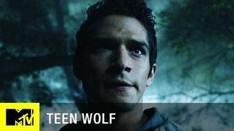 User blog:Paul.rea/Teen Wolf News 010417, Teen Wolf Wiki