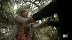 Imagen86.jpg (113 kB)