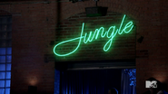 Jungle Nightclub