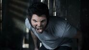 Derek Hale Lobo2