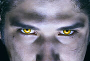 Scott Ojos.jpg