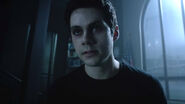 as Void Stiles