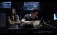 Scott Helping the Dog Allison Hit