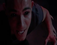 Lucas † (Werwolf/Skorpion, verstorben)