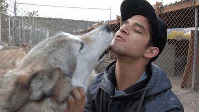 Tyler Wolf Kiss