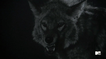 Teen Wolf Season 3 Behind the Scenes 3(b) second Trailer fox